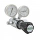 Schrader Regulators Valve