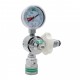 Valve Regulators Schrader