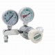 Flow Gauge Regulators